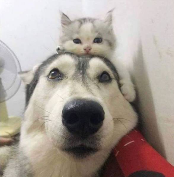 page,27,top 750 daily pics of the year 2019.html - 1 HD Photos | Premium Gallery 2019