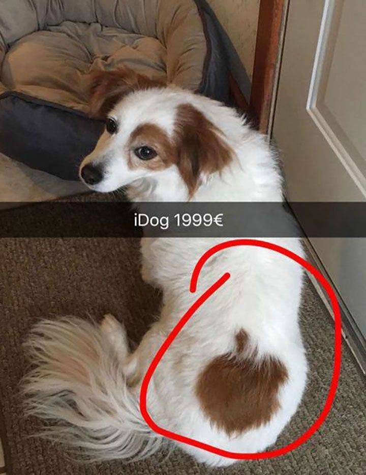 funny picdump 51 pics 19.html - 51 HD Photos | Premium Gallery 2019