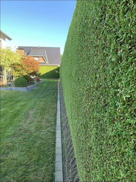 page,10,top 750 daily pics of the year 2019.html - 1 HD Photos | Premium Gallery 2019