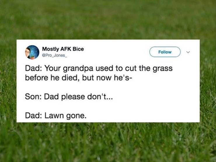 funny picdump 50 pics 17.html - 50 HD Photos | Premium Gallery 2019