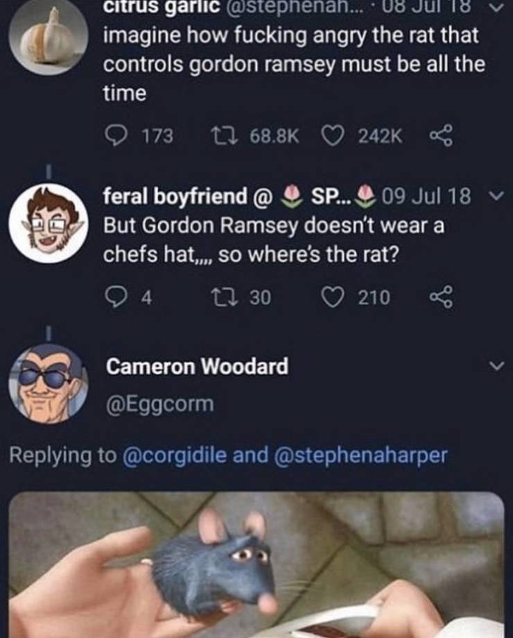 funny picdump 50 pics 17.html - 50 HD Photos | Premium Gallery 2019