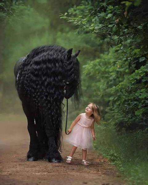 page,10,top 750 daily pics of the year 2019.html - 1 HD Photos | Premium Gallery 2019