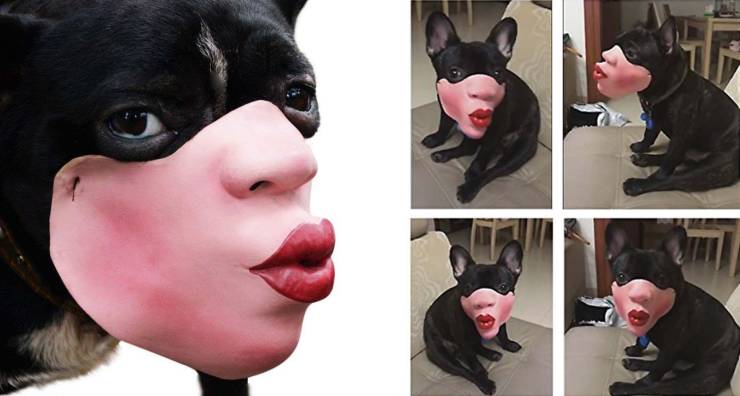 daily picdump 99 pics 12.html - 99 HD Photos | Premium Gallery 2019