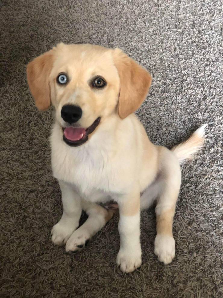 daily picdump 99 pics 12.html - 99 HD Photos | Premium Gallery 2019