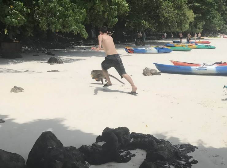 daily picdump 96 pics 48.html - 96 HD Photos | Premium Gallery 2019