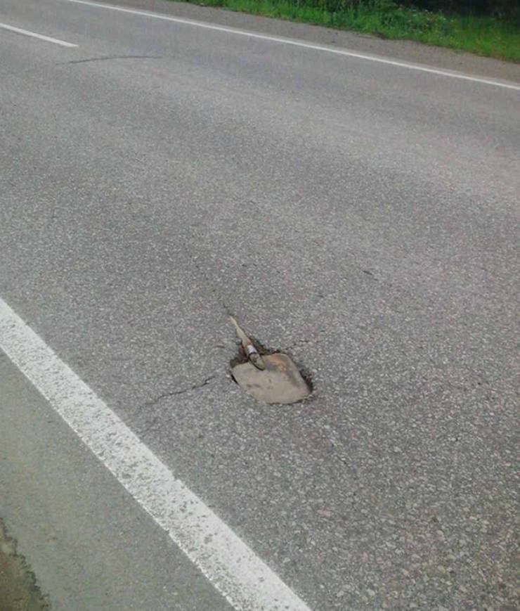 Daily Picdump