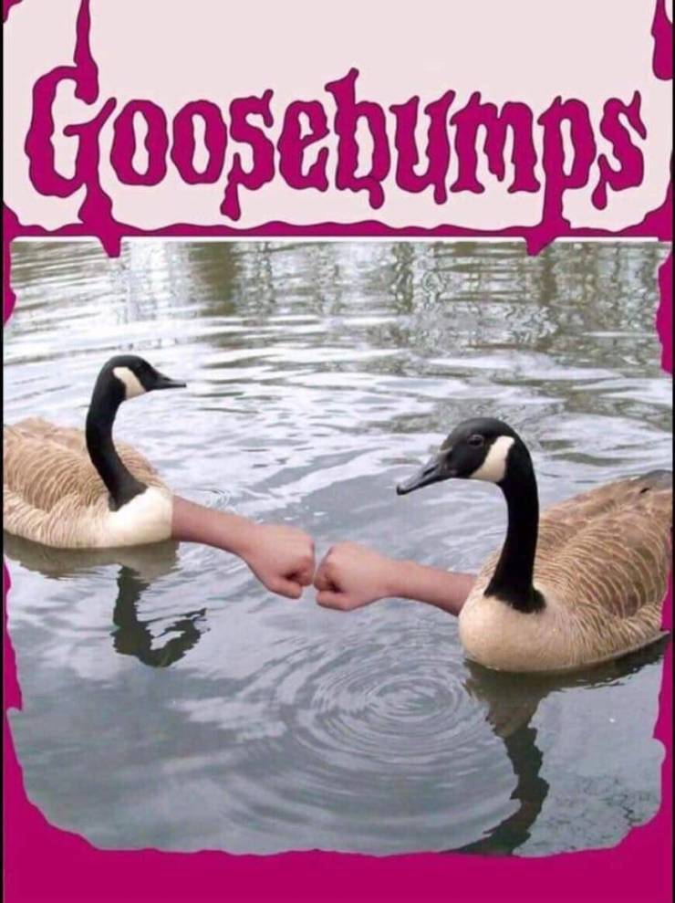 funny picdump 53 pics 10.html - 53 HD Photos | Premium Gallery 2019