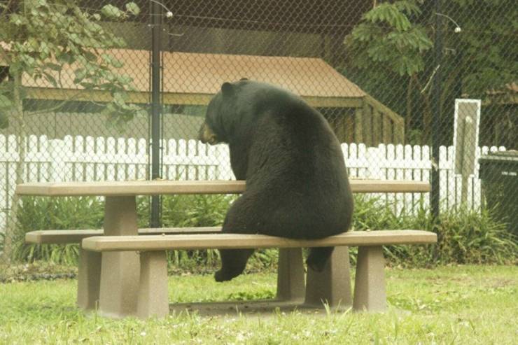 daily picdump 95 pics 48.html - 95 HD Photos | Premium Gallery 2019