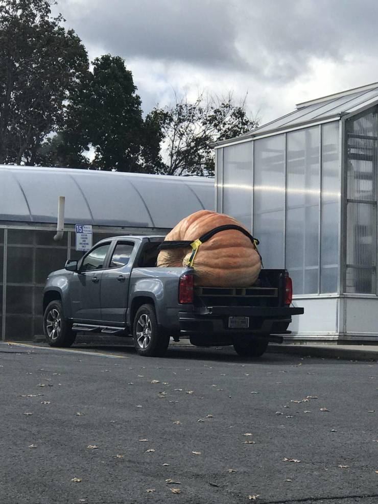daily picdump 95 pics 48.html - 95 HD Photos | Premium Gallery 2019