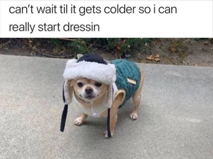 funny picdump 49 pics 23.html - 49 HD Photos | Premium Gallery 2019