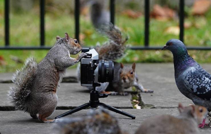 Daily Picdump