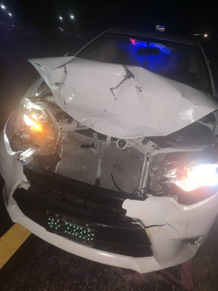 Carrie Costume Is Not The Best Outfit For A Car Crash