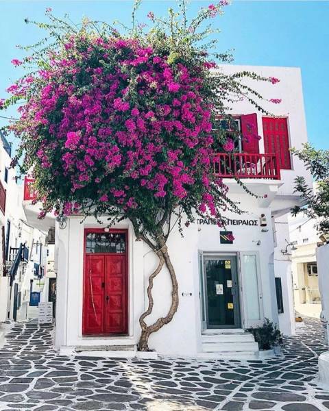 page,10,top 250 morning pics of the year 2019.html - 1 HD Photos | Premium Gallery 2019