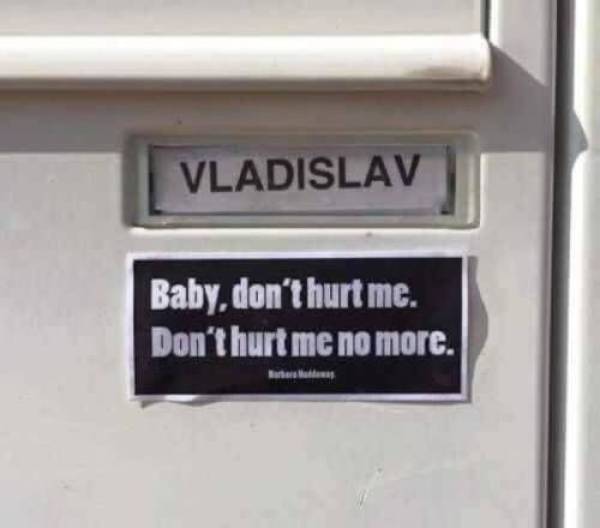 top 250 funny pics of the year 2019.html - 1 HD Photos | Premium Gallery 2019