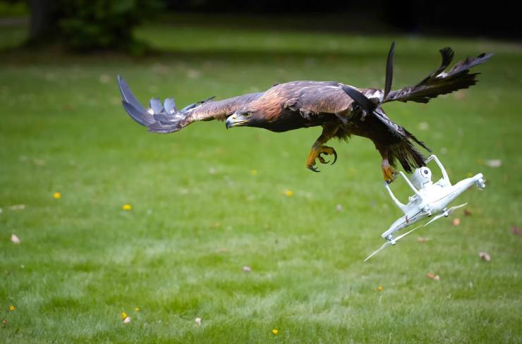 page,29,top 750 daily pics of the year 2019.html - 1 HD Photos | Premium Gallery 2019