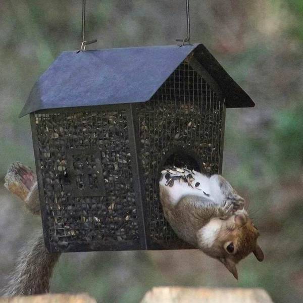 page,29,top 750 daily pics of the year 2019.html - 1 HD Photos | Premium Gallery 2019