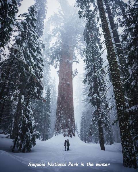 page,29,top 750 daily pics of the year 2019.html - 1 HD Photos | Premium Gallery 2019