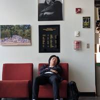 fence likes her too video.html - 1 HD Video | Premium Gallery 2020