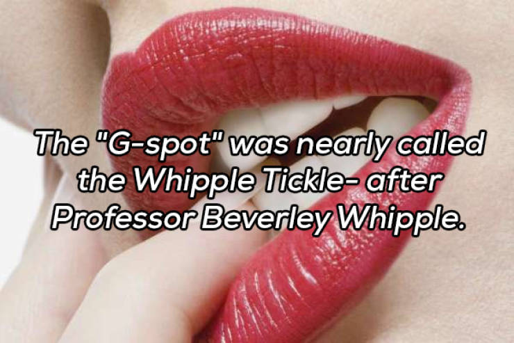 It’s Always Time For NSFW Facts!
