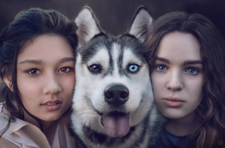 page,2,top 750 daily pics of the year 2019.html - 1 HD Photos | Premium Gallery 2019