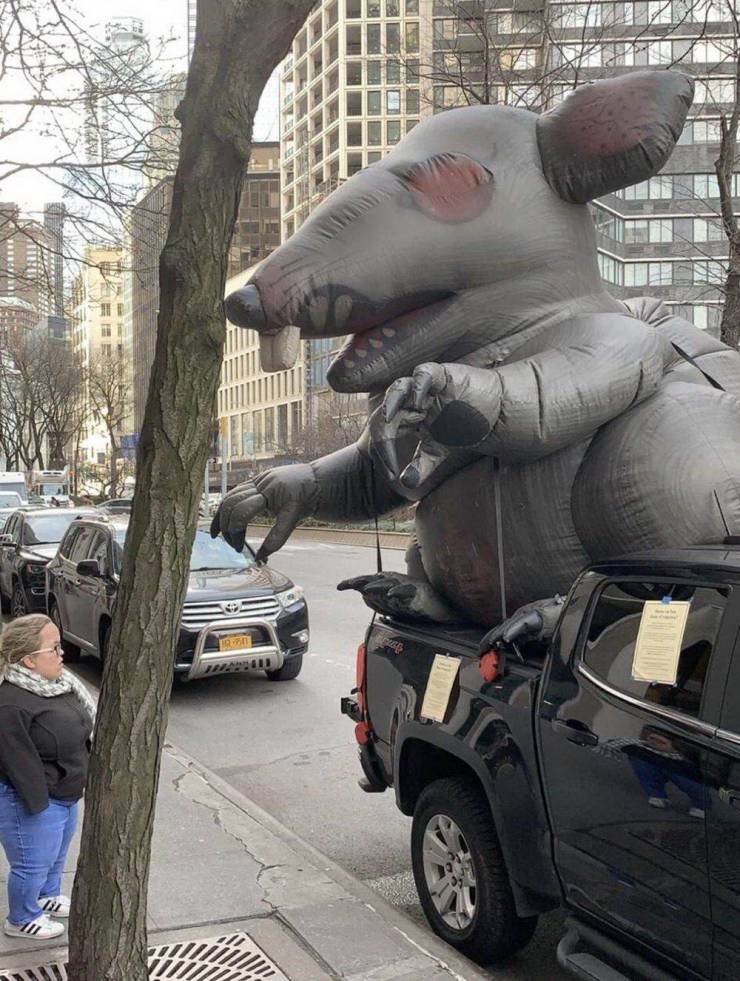 daily picdump 98 pics 28.html - 98 HD Photos | Premium Gallery 2019