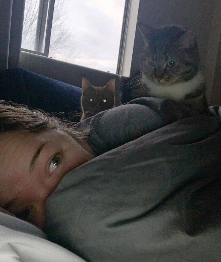 daily picdump 98 pics 28.html - 98 HD Photos | Premium Gallery 2019