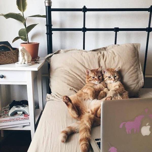 page,17,top 750 daily pics of the year 2019.html - 1 HD Photos | Premium Gallery 2019