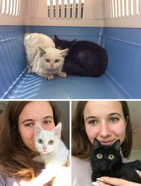 page,4,top 100 animals pics of the year 2019.html - 1 HD Photos | Premium Gallery 2019