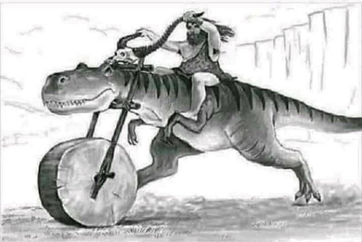 page,4,top 250 funny pics of the year 2019.html - 1 HD Photos | Premium Gallery 2019