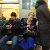 the more the merrier 51 pics.html - 51 HD Photos | Premium Gallery 2020