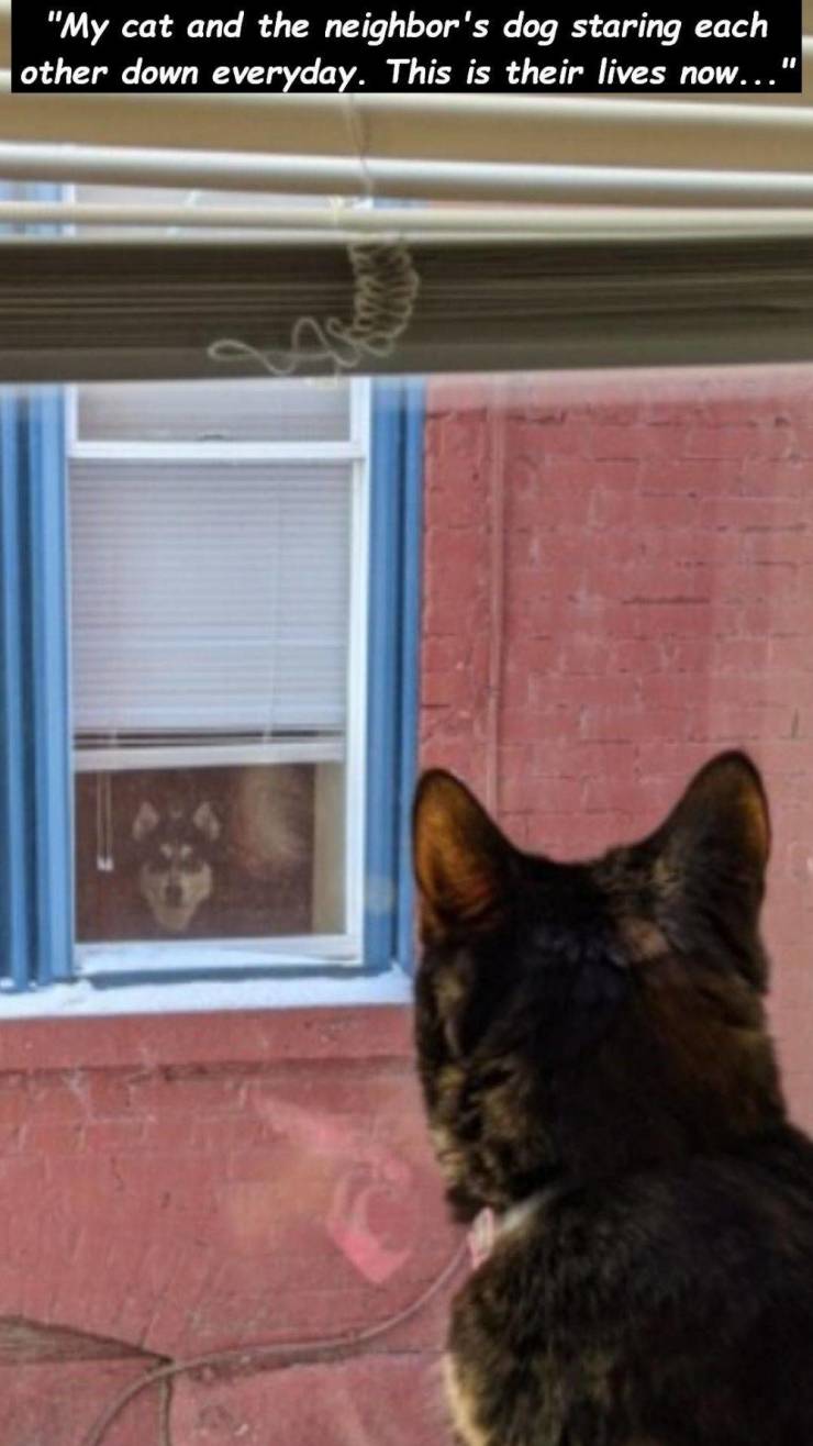 funny picdump 52 pics 16.html - 52 HD Photos | Premium Gallery 2020