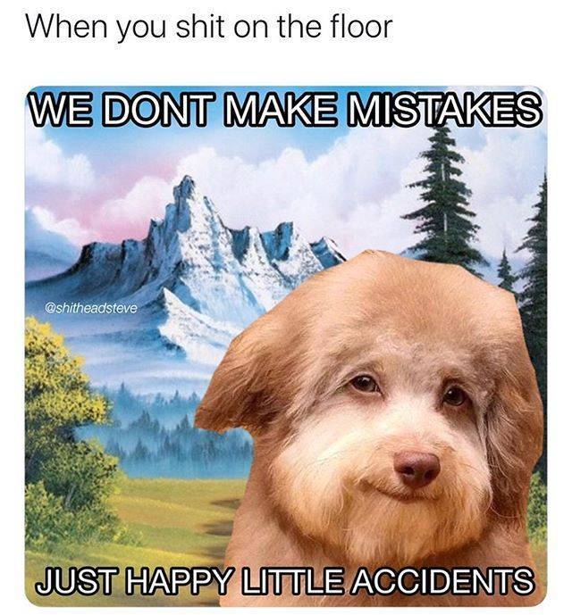 funny picdump 52 pics 16.html - 52 HD Photos | Premium Gallery 2020