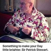 owner saves his dog from pit bulls video.html - 1 HD Video | Premium Gallery 2020