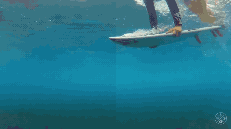 surfer girls are getting ready for the season 26 gifs 5.html - 1 HD GIF | Premium Gallery 2020