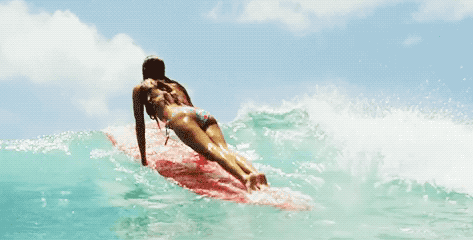 surfer girls are getting ready for the season 26 gifs 5.html - 1 HD GIF | Premium Gallery 2020