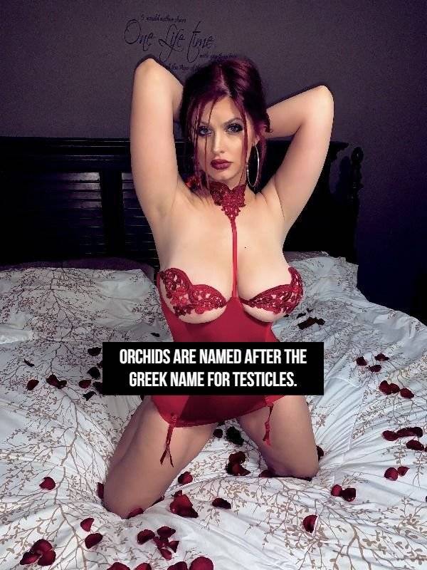 NSFW Facts, Anyone?