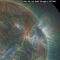 its kinda windy outside video.html - 1 HD Video | Premium Gallery 2020