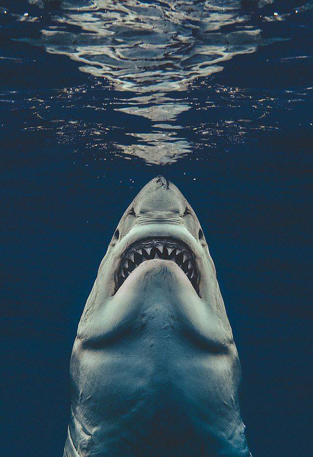 Pics That Are So Poignant And Fascinating