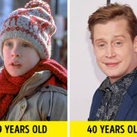 looks like a fair fight video.html - 1 HD Video | Premium Gallery 2020