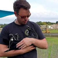 the more the merrier 51 pics.html - 51 HD Photos | Premium Gallery 2020