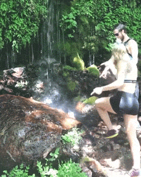 hotties go fail 32 gifs 15.html - 1 HD GIF | Premium Gallery 2020