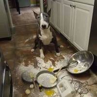 imagine their fate video.html - 1 HD Video | Premium Gallery 2020