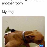 no hands needed video.html - 1 HD Video | Premium Gallery 2020