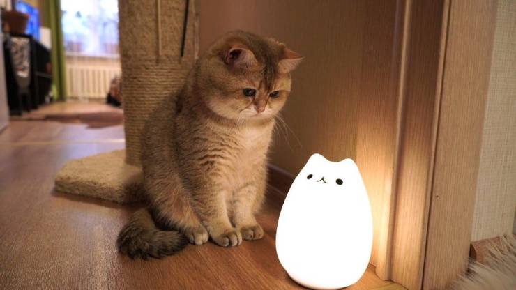 Daily Picdump