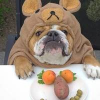 fly away with these hot flight attendants 44 pics.html - 44 HD Photos | Premium Gallery 2020