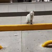 these hipsnwaists are perfect 50 pics.html - 50 HD Photos | Premium Gallery 2020