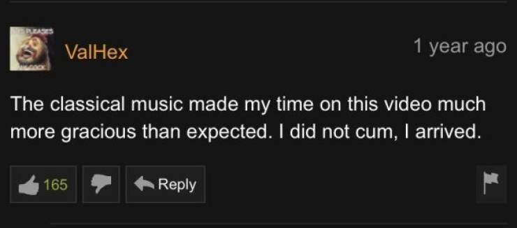 Pornhub Also Has Pretty Good Comments, You Know…