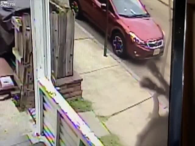 Owner Saves His Dog From Pit Bulls