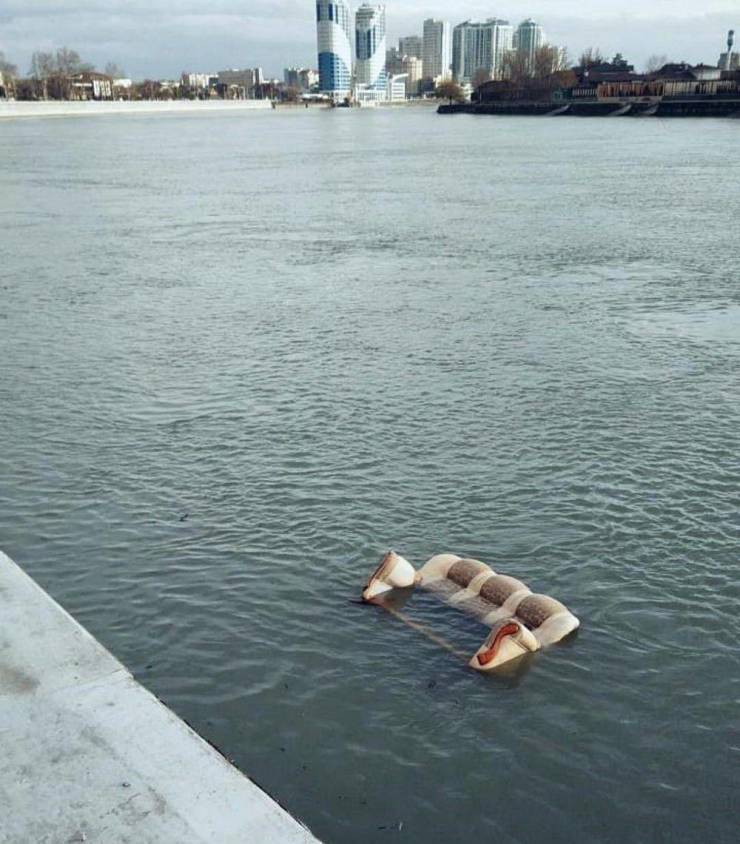 Sometimes You Just Can’t Explain…