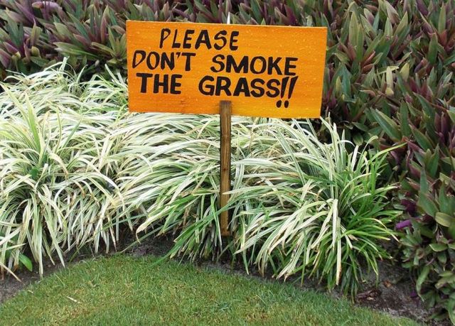 Funny picdump (86 pics)